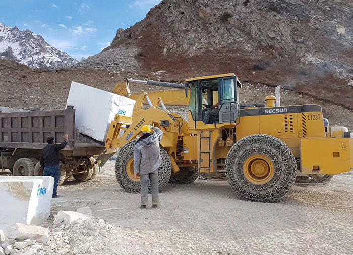 SECSUN SC23T Wheel Loader In Germany