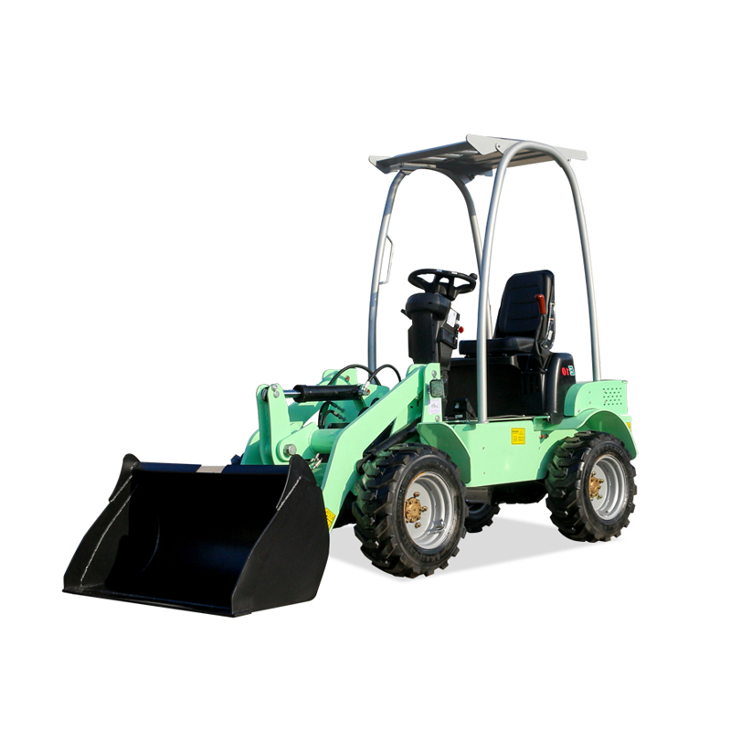 500 Kg Electric Loader